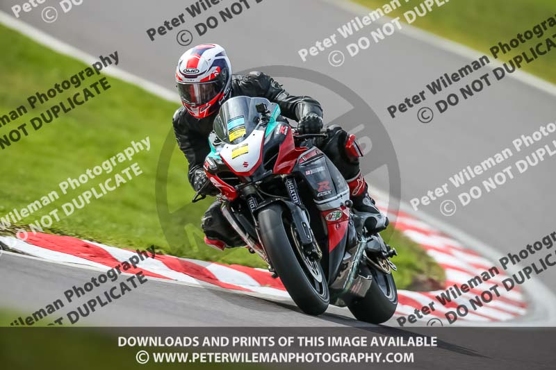 Oulton Park 21st March 2020;PJ Motorsport Photography 2020;anglesey;brands hatch;cadwell park;croft;donington park;enduro digital images;event digital images;eventdigitalimages;mallory;no limits;oulton park;peter wileman photography;racing digital images;silverstone;snetterton;trackday digital images;trackday photos;vmcc banbury run;welsh 2 day enduro